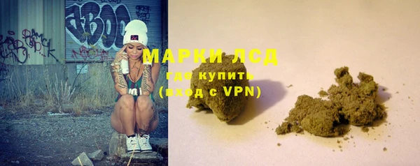 амф Новозыбков