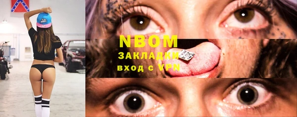 амф Новозыбков