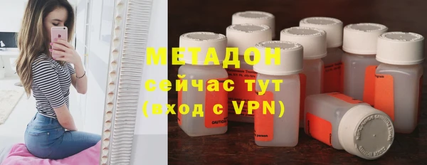 прущие грибы Новокубанск