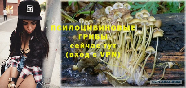 метадон Новодвинск