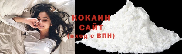 прущие грибы Новокубанск