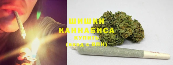 амф Новозыбков
