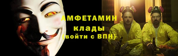 амф Новозыбков