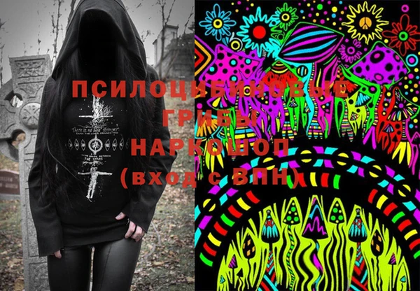 метадон Новодвинск