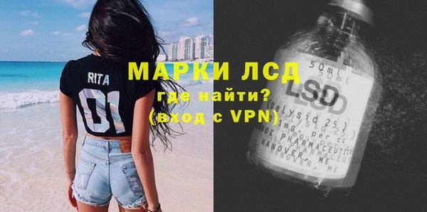 прущие грибы Новокубанск