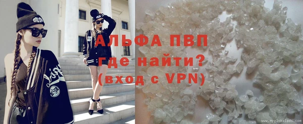 прущие грибы Новокубанск