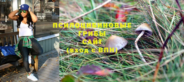 амф Новозыбков