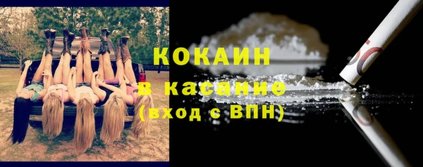 прущие грибы Новокубанск