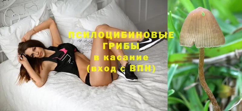 OMG вход  Ак-Довурак  Галлюциногенные грибы Magic Shrooms 